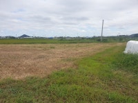 압해읍 | 토지/임야 1329㎡ 매매가 4,400만원 | 한울공인중개사 