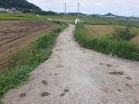 압해읍 | 토지/임야 1329㎡ 매매가 4,400만원 | 한울공인중개사 