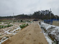 문내면 | 토지/임야 1549㎡ 매매가 2,500만원 | 복덕방공인중개사사무소 