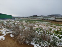 문내면 | 토지/임야 1549㎡ 매매가 2,500만원 | 복덕방공인중개사사무소 