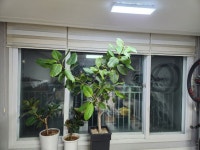 삼호읍 | 한양파크빌 105㎡ 매매가 13,500만원 | 미르공인중개사사무소 