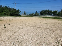 문내면 | 토지/임야 816㎡ 매매가 4,200만원 | 정직한공인중개사사무소 