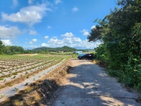 문내면 | 토지/임야 2671.09㎡ 매매가 6,460만원 | 한울공인중개사사무소 