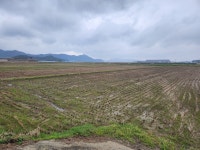 미암면 | 토지/임야 1788.44㎡ 매매가 4,300만원 | 한울공인중개사사무소 