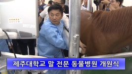 영상앨범 - 제주특별자치도 도지사실 제주특별자치도