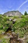 한라산의 어제와 오늘 17 – 한라산의 물 이야기 (1)  - 한라산국립공원