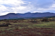 안개 속에서 - 한라산국립공원 안개 속에서 | 제주특별자치도청