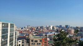 주)다올레부동산중개법인