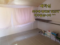 (주)개척부동산중개법인