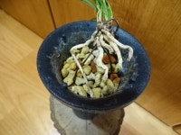 명명품장터
