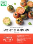 [명성토마토농장] 대저토마토 5kg(1-2번과) - 사는 게 즐겁다! 롯데닷컴