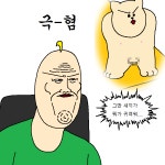 짐승친구들 32화 초보 고양이 집사가 프로 집사로 거듭나는 만화
