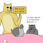 짐승친구들 46화 동물들이 아픈 주인 간호해주는 만화