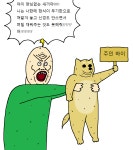 짐승친구들 44화 살던 자취방이 박살나서 길거리에 나앉게생긴 만화