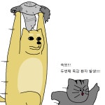 짐승친구들 46화 동물들이 아픈 주인 간호해주는 만화