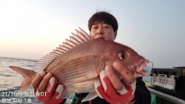 (南)남해조황 - 《참돔흘림》대박조황 170수 《감성돔흘림》GOOD 좋습니다