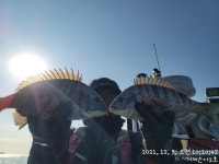 (南)남해조황 - 《감성돔》4짜까지 마릿수 진행중~대물 팅팅~