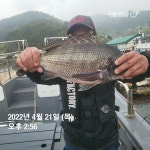 (南)남해조황 - 《통영 공룡호》감성돔흘림 46외