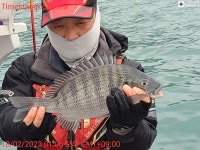 (南)남해조황 - 나이스2호) 26일 주간 뽈낙 출조 모집합니다 (자리여유 예약가능)