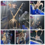 두자리수도 충분히 잡아내는 야간낙지