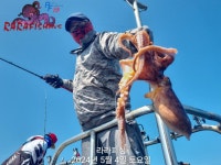 내만문어조황