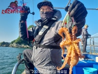 내만문어 조황
