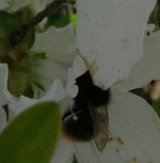 어린이과학동아 - 웃기는 과학, 똑똑한 만화!