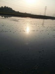 j5973-0520-a280보이동  수원청개구리탐사  끝.  배터리 부족 : 어린이과학동아