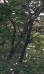 s7579-0719-c1 인천 연수구 동춘2동 무지개마을 아파트단지내에서 사진 가운데부분에 : 어린이과학동아&어린이수학동아 s7579-0719-c1인천... 