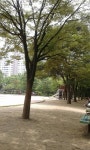 G8367-0721-C6 학교 운동장 : 어린이과학동아&어린이수학동아 G8367-0721-C6학교 운동장 : 어린이과학동아&어린이수학동아