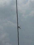 G1019-0727-c003 : 어린이과학동아&어린이수학동아