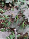 H7105-0805-C6 반석산 동탄복합문화센터 뒷쪽. 바람0 기상1 소음0 노래2 : 어린이과학동아&어린이수학동아 H7105-0805... 
