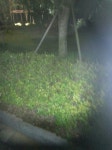 D4795-0811-D1 바람불고 날씨 청명한 날 아파트 공원 : 어린이과학동아&어린이수학동아 D4795-0811-D1바람불고 날씨 청명한 날아파트 공원... 