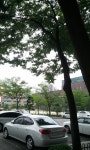 s7579-0825-c2하일초등학교 앞기온이 그리 높지않고 바람도 부는데 동네에 말매미 : 어린이과학동아 어린이과학동아 - 웃기는 과학, 똑똑한... 