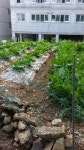 m8050-0926-d5경상남도 진주시 신안동 진주여자중학교 앞 : 어린이과학동아 어린이과학동아 - 웃기는 과학, 똑똑한 만화!