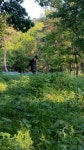 : 어린이과학동아&어린이수학동아 단체팀 수피키아 150525-2  서울금천구 시흥5동 시흥계곡 날씨 맑음 구름 조금  .  : 어린이과학동아... 