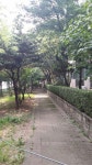 10 한마음 매미 150815-2 분당수내동양지마을 한양아파트... 매미 150815-2분당수내동양지마을 한양아파트 : 어린이과학동아&어린이수학동아