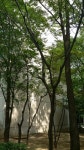 10 한마음 매미 150815-2 분당수내동양지마을 한양아파트... 매미 150815-2분당수내동양지마을 한양아파트 : 어린이과학동아&어린이수학동아
