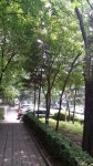 10 한마음 매미 150815-4 분당수내동 양지마을 한양아파트 합창... 150815-4분당수내동 양지마을 한양아파트합창 : 어린이과학동아... 