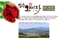 [長水청정마을] 생오미자 액기스 4.5kg - 사는 게 즐겁다! 롯데닷컴
