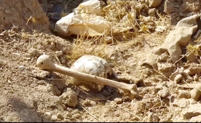New mass graves found in Iraq could contain up to 400 bodies - CBS News 8 - San Diego, CA News Station - KFMB Channel 8 New mass graves found in Iraq could contain up to 400 bodies | 웹