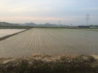 [서대문구 예삐팀]수원청개구리 0521-5 : 어린이과학동아 어린이과학동아 - 웃기는 과학, 똑똑한 만화!