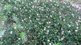 [전북,닥터구리]160628-21 익산시 영등동 : 어린이과학동아