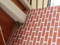 전북  전주, 푸른바다, 제비탐사, 20160611-2, 전주시 완산구 삼천동 정동경로당 : 어린이과학동아