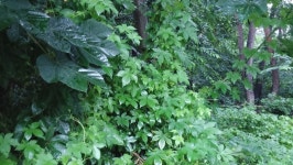 [전북,닥터구리]160703-14 익산시 영등동 : 어린이과학동아 어린이과학동아 - 웃기는 과학, 똑똑한 만화!