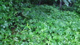 [전북,닥터구리]160703-14 익산시 영등동 : 어린이과학동아 어린이과학동아 - 웃기는 과학, 똑똑한 만화!