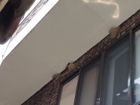 어린이과학동아 - 웃기는 과학, 똑똑한 만화! 어린이과학동아 - [서울 용산, 내친구봄이] 제비 160719- 2