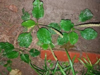 어린이과학동아 - 웃기는 과학, 똑똑한 만화! 어린이과학동아 - [서울.꿈꾸는지구]170724-3