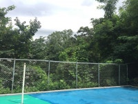 서울 서초 에코마우스 170816-17 : 어린이과학동아