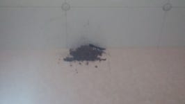 자매들의놀이터 - 190807 - 1 : 어린이과학동아 어린이과학동아 - 웃기는 과학, 똑똑한 만화!